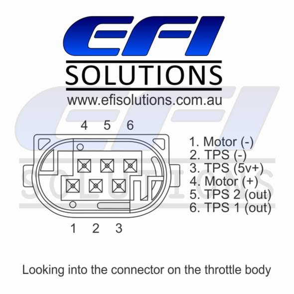 Bosch DBW Throttle Body Pinout