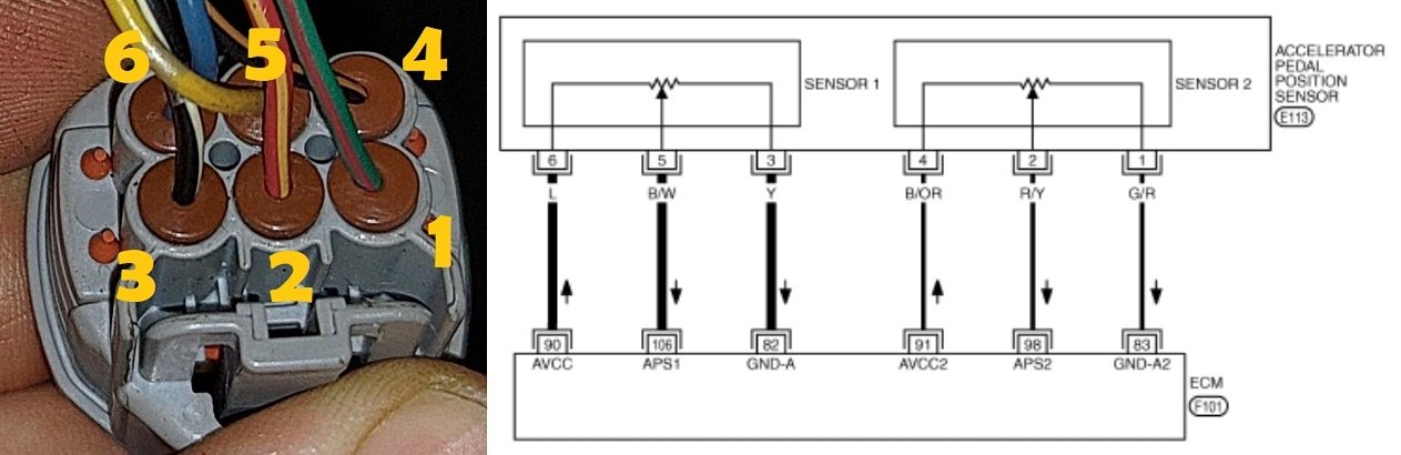 G35 APPS Connector Pinout Wiring Diagram